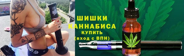 сатива Баксан