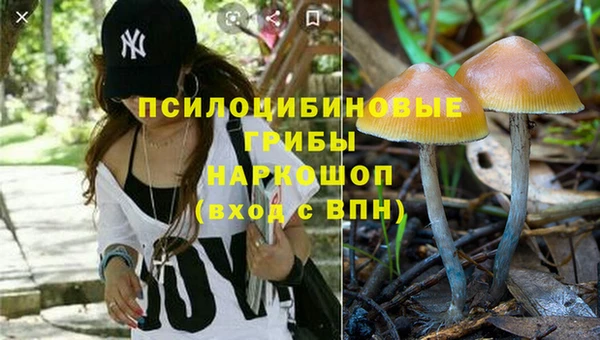 ГАЛЛЮЦИНОГЕННЫЕ ГРИБЫ Беломорск