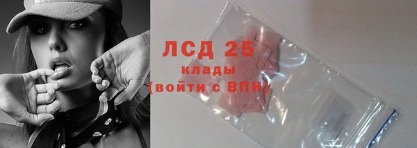 ГАЛЛЮЦИНОГЕННЫЕ ГРИБЫ Балахна