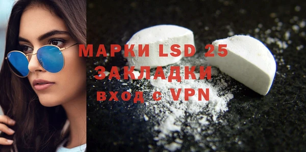 ГАЛЛЮЦИНОГЕННЫЕ ГРИБЫ Балахна