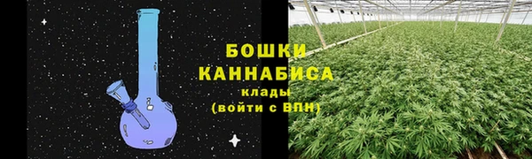 ГАЛЛЮЦИНОГЕННЫЕ ГРИБЫ Беломорск