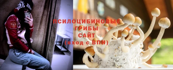 шишки Балабаново