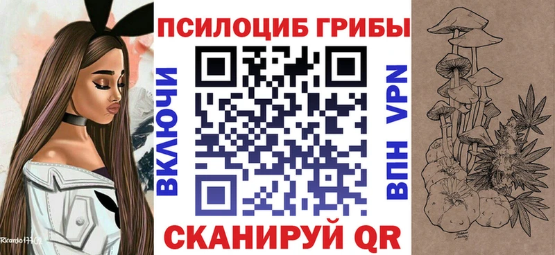 Галлюциногенные грибы Cubensis Купить закладки Глазов